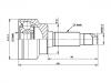 CV Joint Kit:B002-25-500